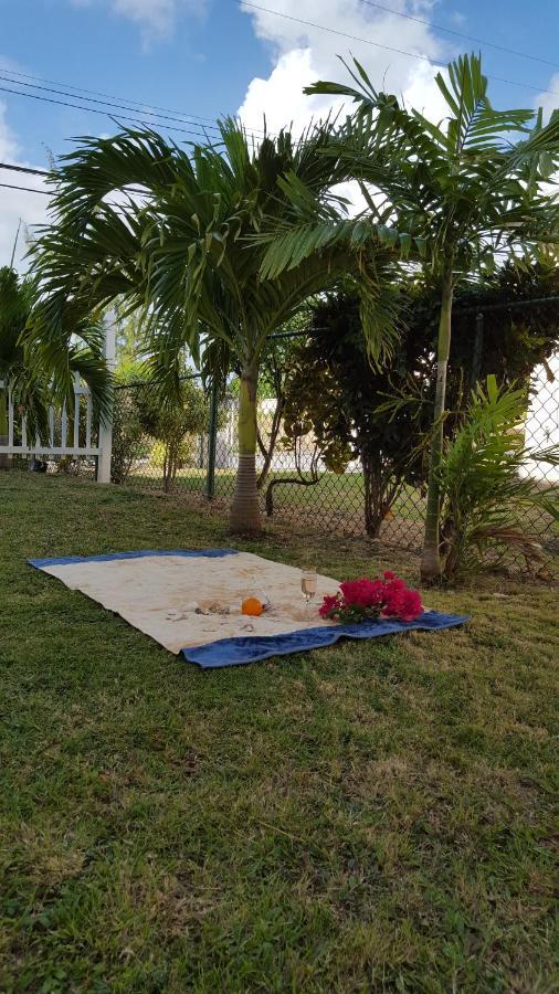 Cynson Villa Holiday Accommodations Christ Church Dış mekan fotoğraf